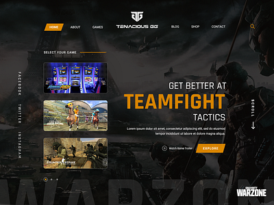 Tenacious GG Website Design