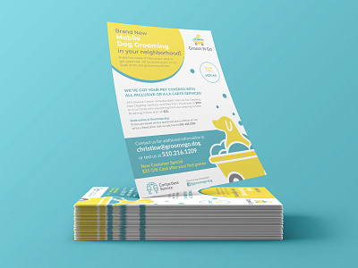 Groom N Go Flyer Design branding colors design modern