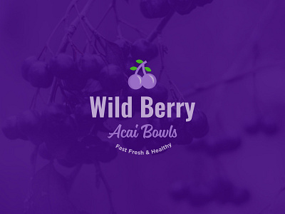 Wild Berry colors design illustration logo logo design logodesign modern typography