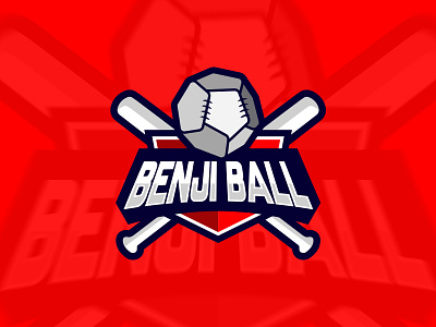 Benji Ball colors design illustration logo modern vector