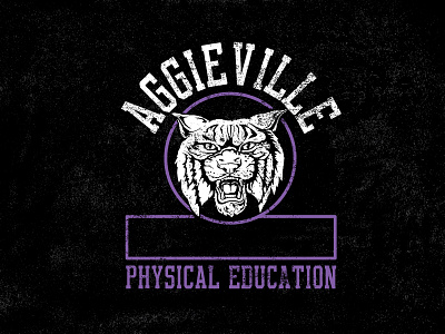 Aggieville Phys. Ed. aggieville gym k state kansas state ksu pe phys ed physical education wildcats