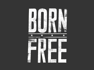Born Free america born free equality freedom land of the free liberty us usa