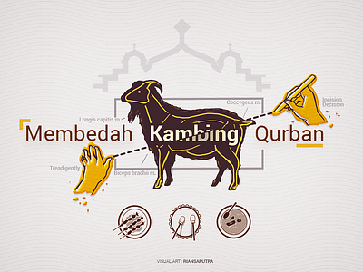 How To : Processing Goat's Meat goat illustration infographic meat