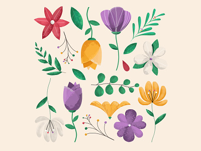 Spring colorful draw flower graphic design illustration plant spring summer