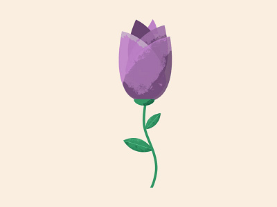 Spring - Tulip flower graphic design illustrator plant spring tulip