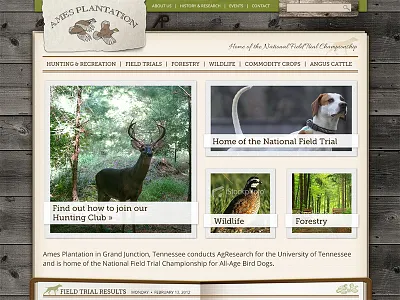 Ames Homepage green homepage natural nature outdoors paper rustic web website wood