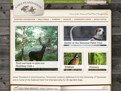 Ames Homepage green homepage natural nature outdoors paper rustic web website wood