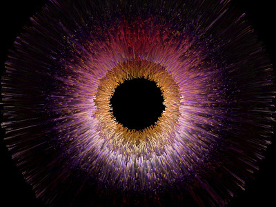 Eye Exploration Experiments Flow