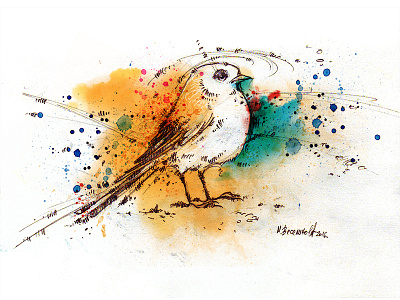 Bird bird drawing illustration ink photoshop sketch sketchbook watercolor