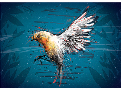 Robin bird drawing illustration photoshop