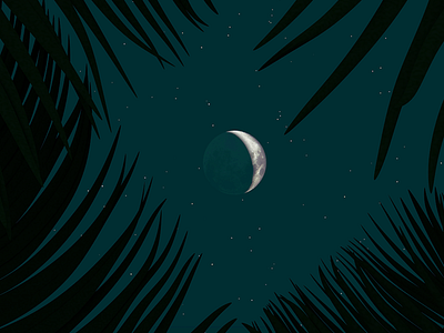 Moongazing 3d 3d art art artist c4d cinema4d creative graphic design illustration moon night sky