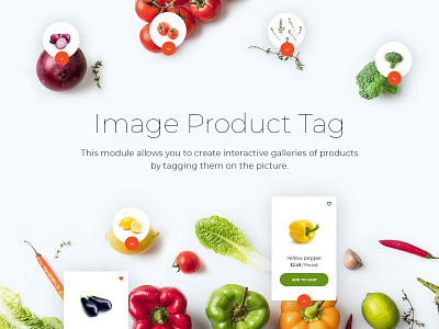 Module Image Product Tag ecommerse module opencart template theme ui ux