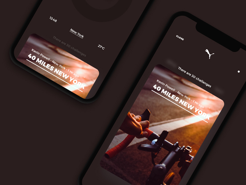 ford puma app