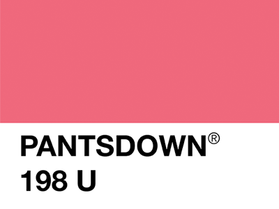 Pantsdown® cost mock pantone pantsdown price stupid