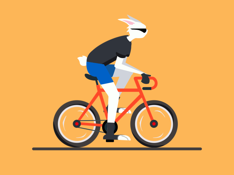 Bike ae dynamic，rabbit，exercise