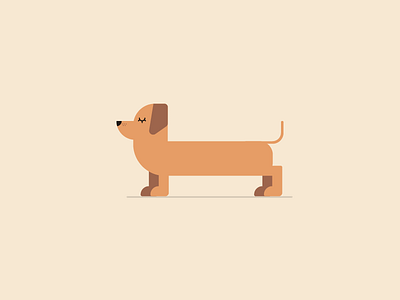 Dog dog dog illustration flat design