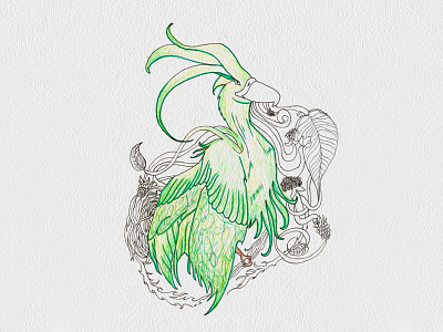 Bird augrey bird character fantastic fantasticbeasts harrypotter illustrations magic pottermore