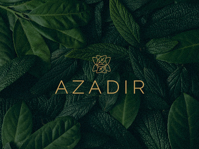 AZADIR RESIDENCE azadir azadirachta green identity indica logo