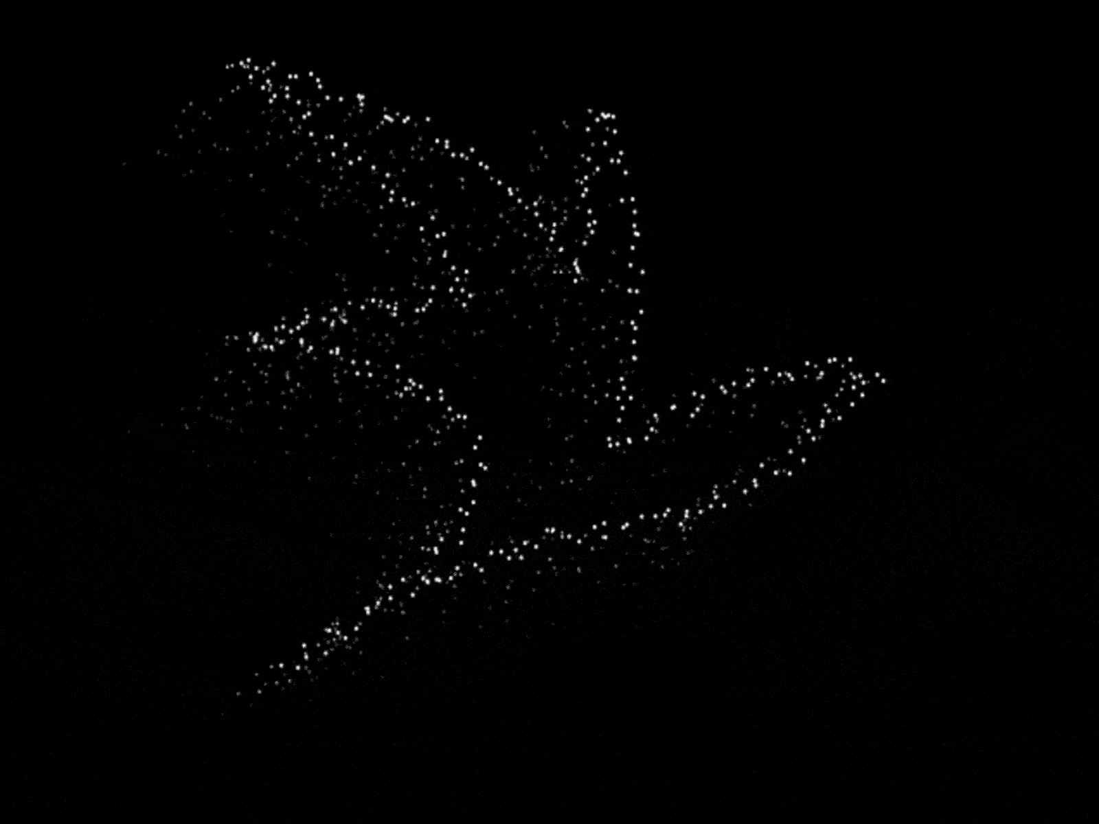 Animated Bird Logo animation artwork logo