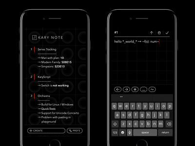 Kary Note app graphic design iphone ui