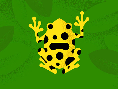 Panamanian Frog frog green leaves panamanian spot tree yellow