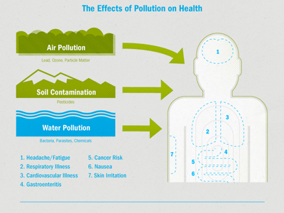Pollution Infographic (Chart 2) contamination effects infographic pollution