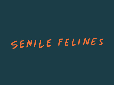 Senile Felines handlettering orange palindrome typography