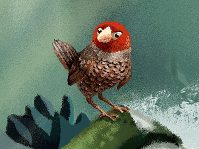 Curious bird in the jungle bird book drawing illustration jungle red head stone