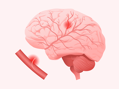 Brain medical illustration