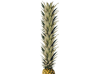 Endless Pineapple