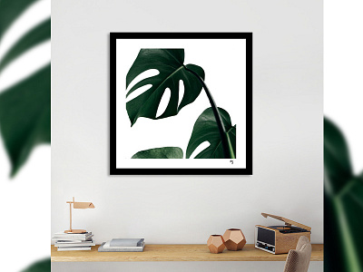 Monstera exotic green leaf minimal monstera nature tropical