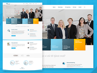 Cesab - Website leadership recruitment ui ux web website