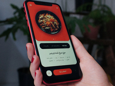 Cooking assistant app UI (Damkoni)