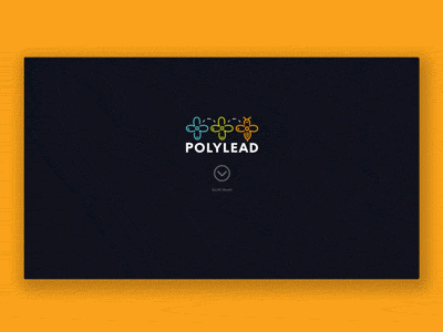 Polylead animation bee css design illustration javascript line illustration scroll webdesign