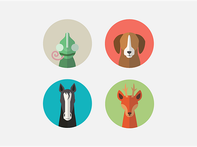 Animal Avatars