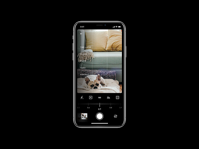 Camera App app camera design ios native options photography product ui ux