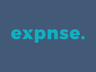 Expnse Branding brand design branding colour graphic design logo design marketing materials print typography