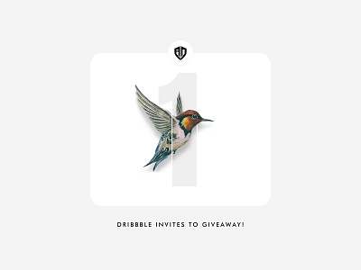 Dribbble Invite to giveaway comment dribbble dribbble invite follow giveway like portfolio