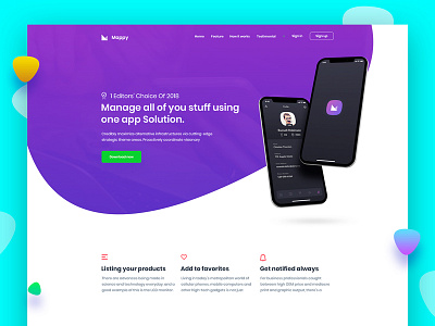 Mappy App Landing Concept