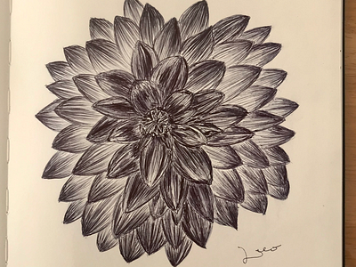 Ballpen Flower 🌸