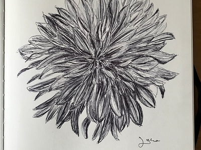 Ballpen Flower 🌺