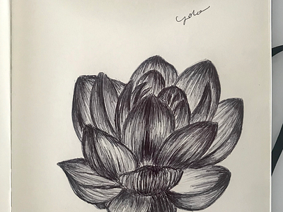 Ballpen Flower 🌺