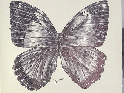 Ballpen Butterflies 🦋