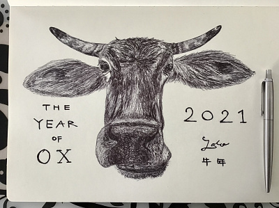 The Year Of Ox design illustration