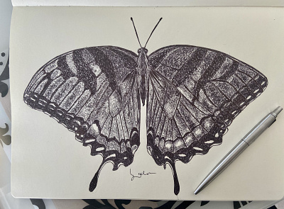 Ballpen Butterfly ballpen design drawing illustration society6 frame wallart sociey6