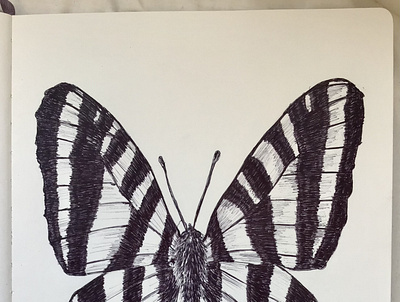 Ballpen Butterfly 🦋 ballpen design drawing illustration society6 society6 frame wallart sociey6