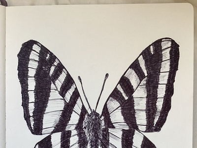 Ballpen Butterfly 🦋