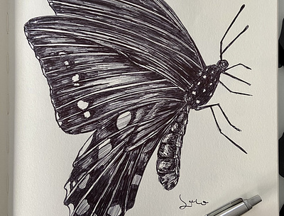 Ballpen Butterfly 🦋 ballpen design drawing graphic design illustration society6 society6 frame wallart sociey6