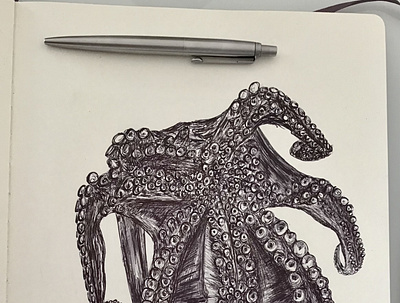 Ballpen Octopus 🐙 ballpen handdrawing