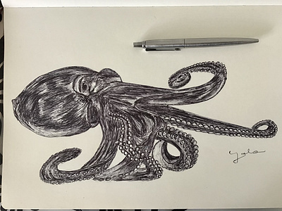Ballpen Octopus 🐙